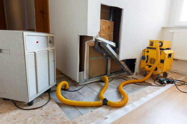 Best Environmental Consulting for Mold Prevention  in White City, UT