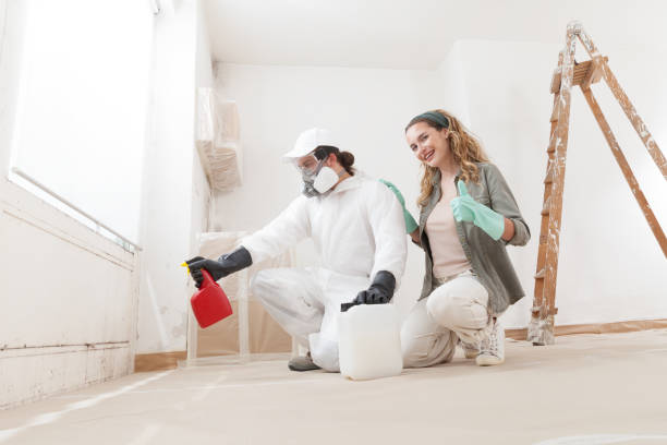 Best Commercial Mold Inspection  in White City, UT